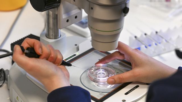 IVF Services in Alabama Are Halted After a Court Rule Treats Embryos as Children