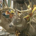 “It’s Incredible:” The Iowa Deer Classic Attracts Thousands Of People Using A Variety Of Entertainment Options