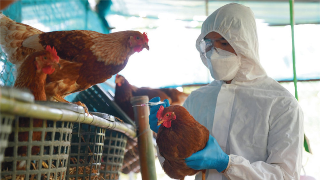 Patient Tests Positive for Bird Flu Without Animal Contact