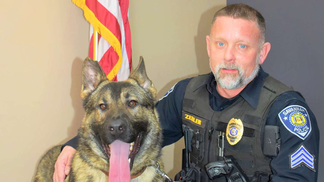 Missouri Police Officer Charged with Animal Abuse After K-9 Dies