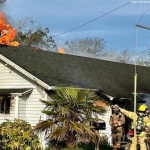 Firefighters Attempt to Save Dog in Aurora House Fire, But Pet Tragically Dies!