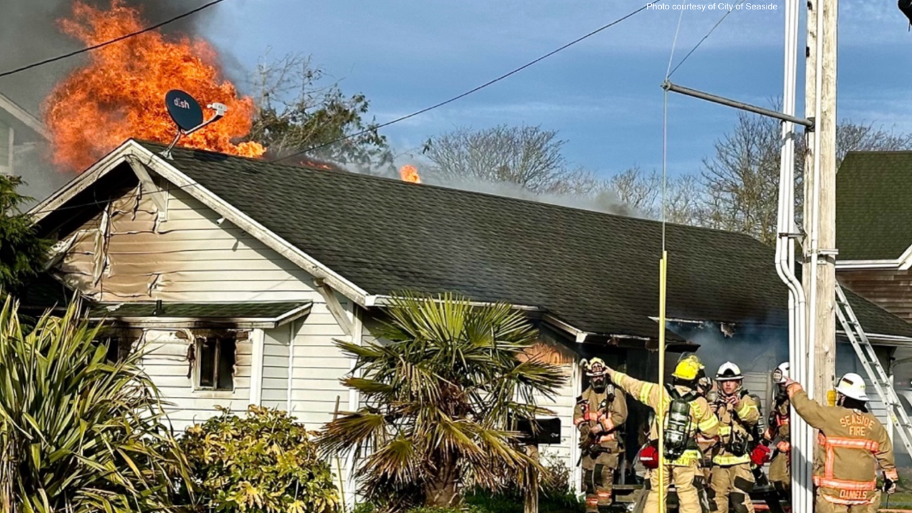 Firefighters Attempt to Save Dog in Aurora House Fire, But Pet Tragically Dies!